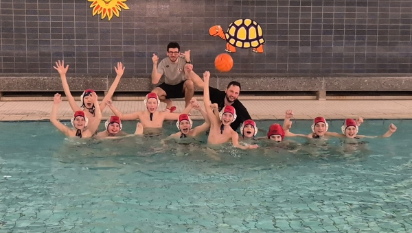 Lehrter Wasserballer rüsten zum nächsten Spieltag